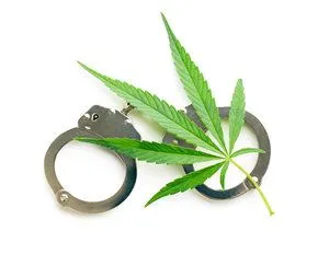 cannabis laws