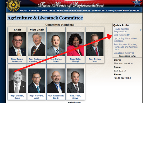 Texas House Committee Website